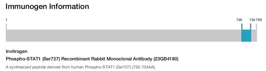 Phospho-STAT1 (Ser727) Recombinant Rabbit Monoclonal Antibody (23GB4190)