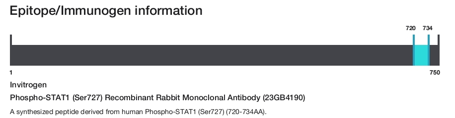 Phospho-STAT1 (Ser727) Recombinant Rabbit Monoclonal Antibody (23GB4190)