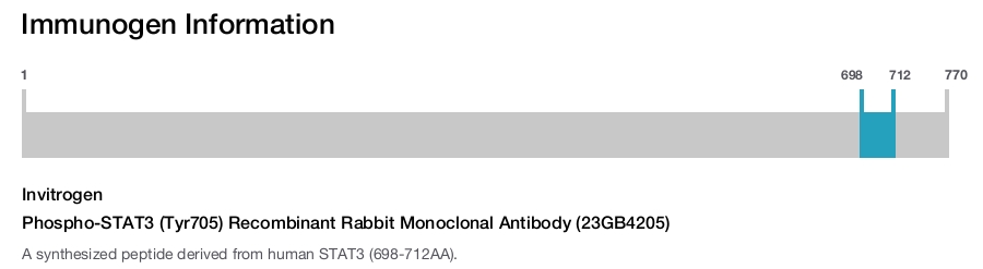 Phospho-STAT3 (Tyr705) Recombinant Rabbit Monoclonal Antibody (23GB4205)