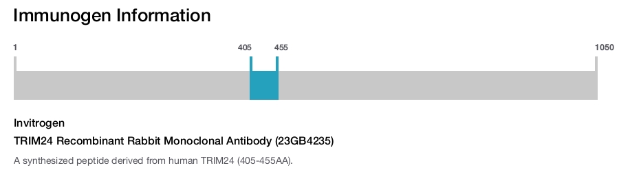 TRIM24 Recombinant Rabbit Monoclonal Antibody (23GB4235)