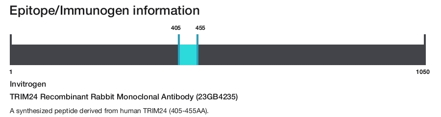 TRIM24 Recombinant Rabbit Monoclonal Antibody (23GB4235)