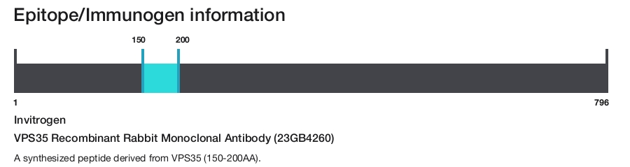 VPS35 Recombinant Rabbit Monoclonal Antibody (23GB4260)