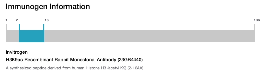 H3K9ac Recombinant Rabbit Monoclonal Antibody (23GB4440)
