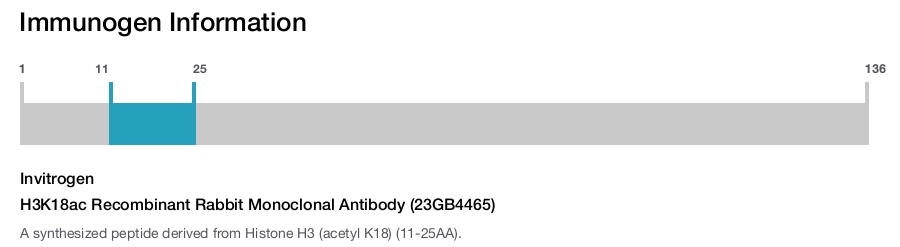 H3K18ac Recombinant Rabbit Monoclonal Antibody (23GB4465)