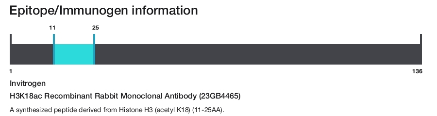 H3K18ac Recombinant Rabbit Monoclonal Antibody (23GB4465)