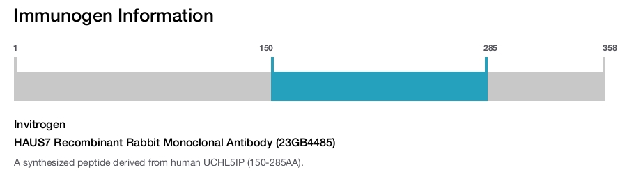 HAUS7 Recombinant Rabbit Monoclonal Antibody (23GB4485)