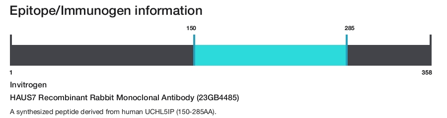 HAUS7 Recombinant Rabbit Monoclonal Antibody (23GB4485)