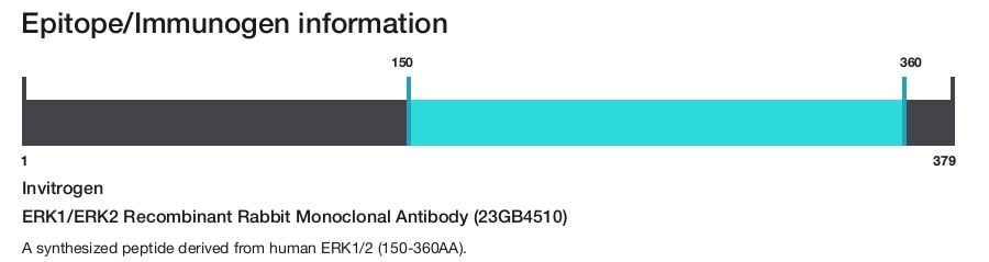 ERK1/ERK2 Recombinant Rabbit Monoclonal Antibody (23GB4510)