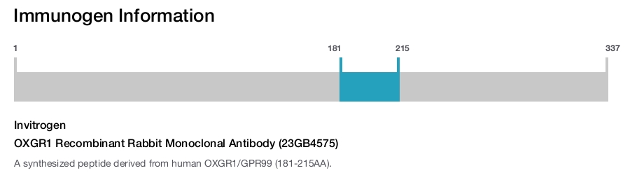 OXGR1 Recombinant Rabbit Monoclonal Antibody (23GB4575)
