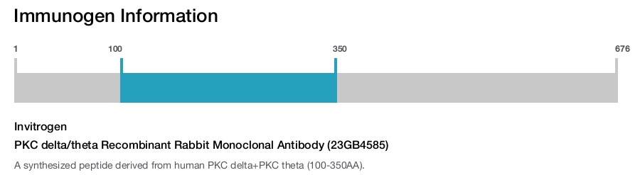 PKC delta/theta Recombinant Rabbit Monoclonal Antibody (23GB4585)