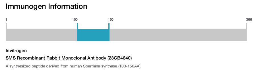 SMS Recombinant Rabbit Monoclonal Antibody (23GB4640)