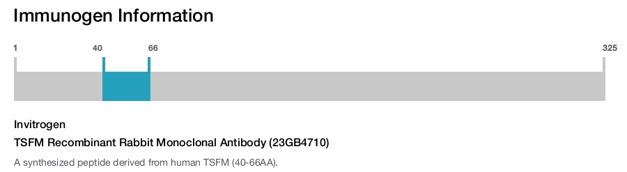 TSFM Recombinant Rabbit Monoclonal Antibody (23GB4710)
