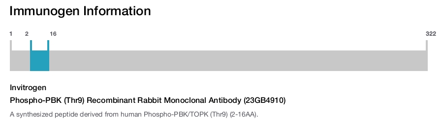 Phospho-PBK (Thr9) Recombinant Rabbit Monoclonal Antibody (23GB4910)