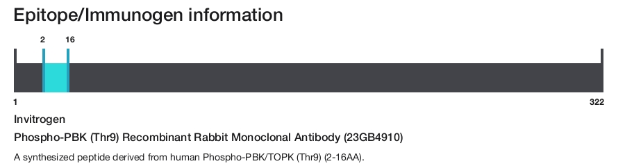 Phospho-PBK (Thr9) Recombinant Rabbit Monoclonal Antibody (23GB4910)