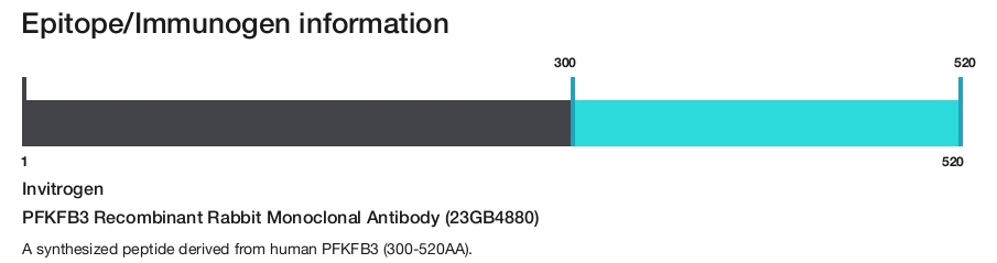 PFKFB3 Recombinant Rabbit Monoclonal Antibody (23GB4880)
