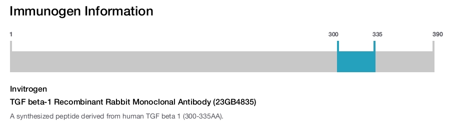 TGF beta-1 Recombinant Rabbit Monoclonal Antibody (23GB4835)