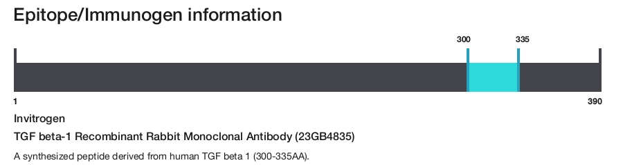 TGF beta-1 Recombinant Rabbit Monoclonal Antibody (23GB4835)