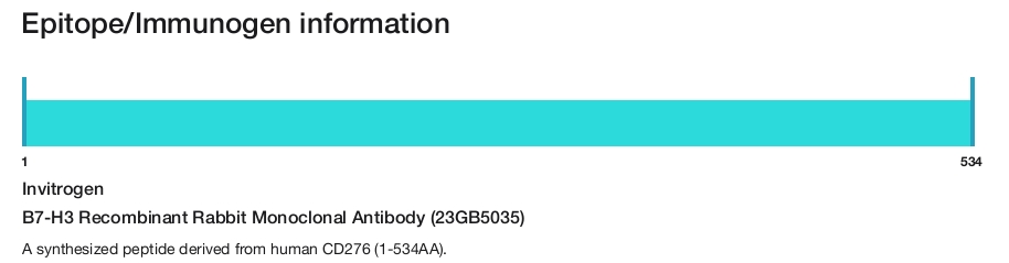 B7-H3 Recombinant Rabbit Monoclonal Antibody (23GB5035)