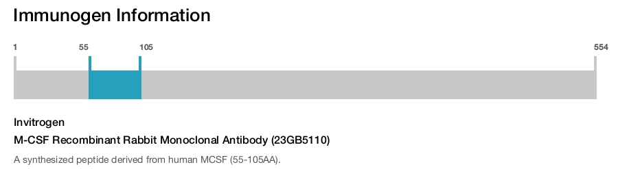 M-CSF Recombinant Rabbit Monoclonal Antibody (23GB5110)