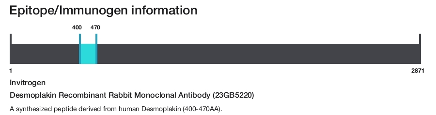 Desmoplakin Recombinant Rabbit Monoclonal Antibody (23GB5220)