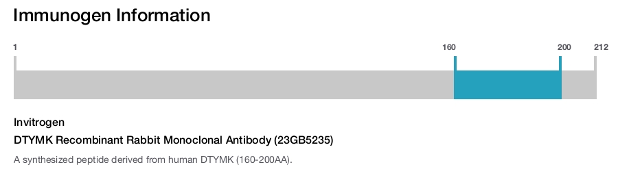 DTYMK Recombinant Rabbit Monoclonal Antibody (23GB5235)
