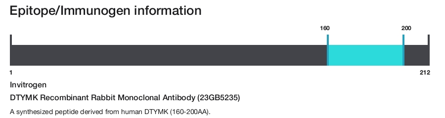 DTYMK Recombinant Rabbit Monoclonal Antibody (23GB5235)
