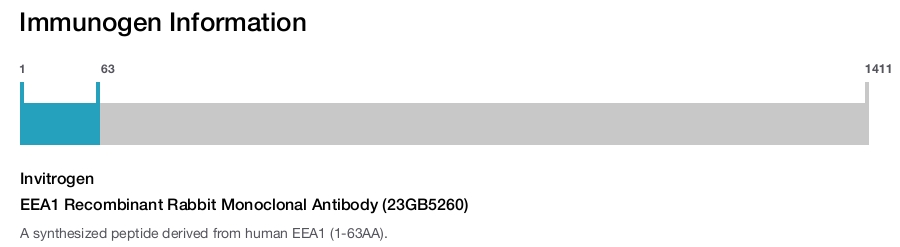 EEA1 Recombinant Rabbit Monoclonal Antibody (23GB5260)