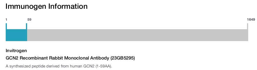 GCN2 Recombinant Rabbit Monoclonal Antibody (23GB5295)