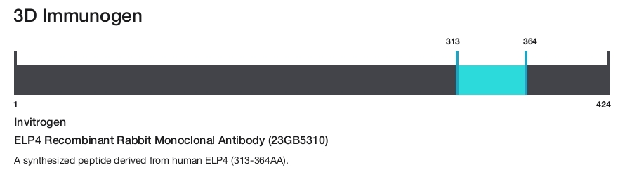 ELP4 Recombinant Rabbit Monoclonal Antibody (23GB5310)