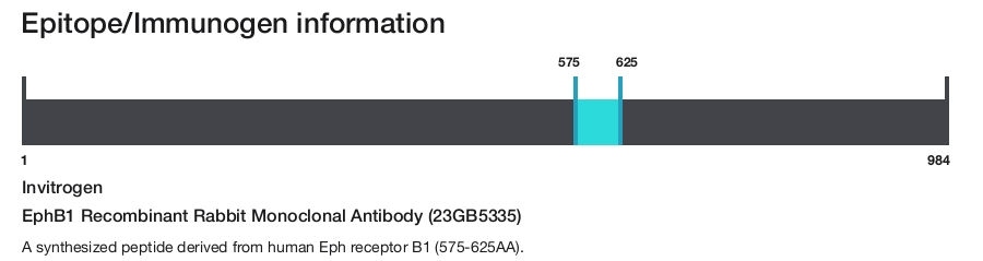 EphB1 Recombinant Rabbit Monoclonal Antibody (23GB5335)