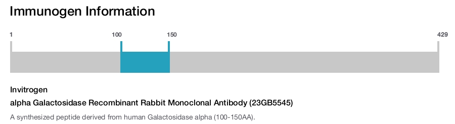alpha Galactosidase Recombinant Rabbit Monoclonal Antibody (23GB5545)