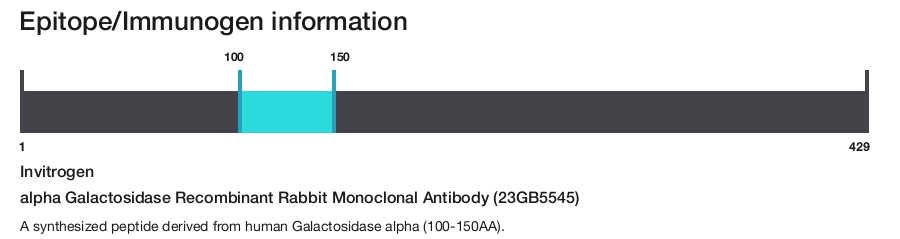 alpha Galactosidase Recombinant Rabbit Monoclonal Antibody (23GB5545)