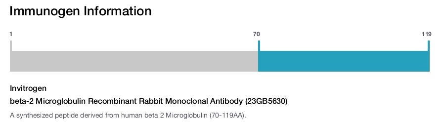beta-2 Microglobulin Recombinant Rabbit Monoclonal Antibody (23GB5630)