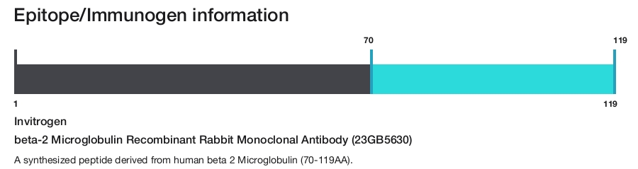 beta-2 Microglobulin Recombinant Rabbit Monoclonal Antibody (23GB5630)