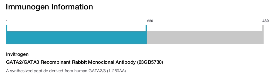 GATA2/GATA3 Recombinant Rabbit Monoclonal Antibody (23GB5730)