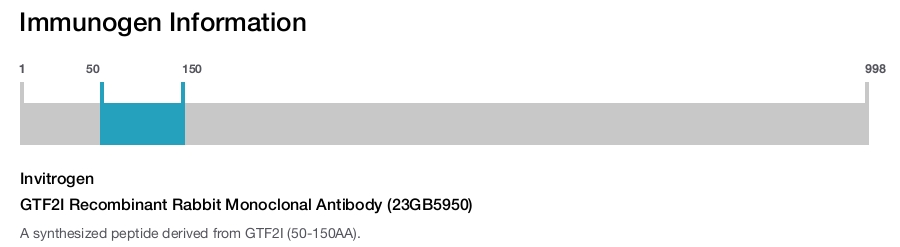 GTF2I Recombinant Rabbit Monoclonal Antibody (23GB5950)