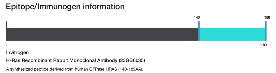 H-Ras Recombinant Rabbit Monoclonal Antibody (23GB6035)