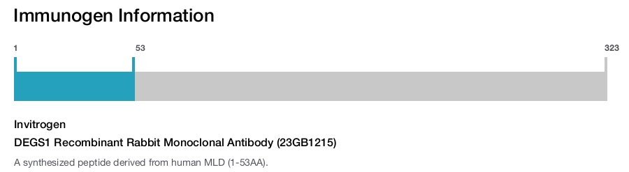 DEGS1 Recombinant Rabbit Monoclonal Antibody (23GB1215)