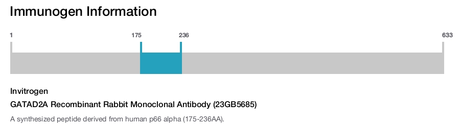 GATAD2A Recombinant Rabbit Monoclonal Antibody (23GB5685)
