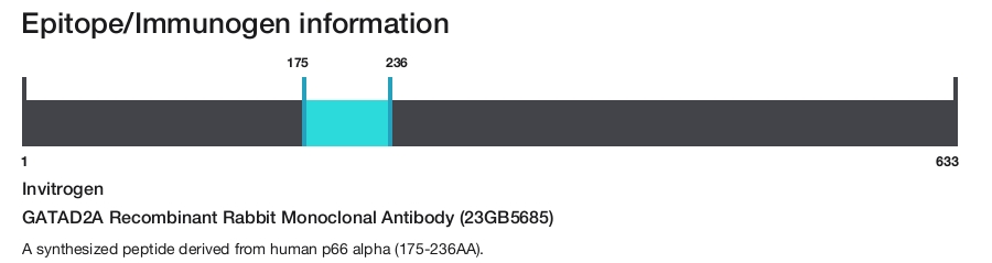 GATAD2A Recombinant Rabbit Monoclonal Antibody (23GB5685)