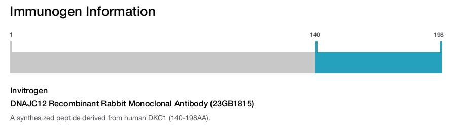 DNAJC12 Recombinant Rabbit Monoclonal Antibody (23GB1815)