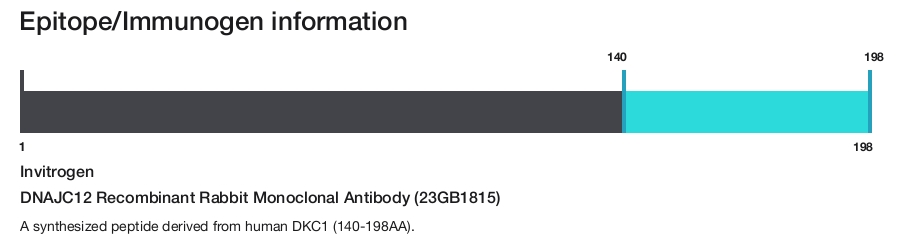 DNAJC12 Recombinant Rabbit Monoclonal Antibody (23GB1815)