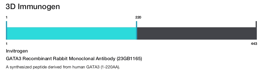 GATA3 Recombinant Rabbit Monoclonal Antibody (23GB1165)