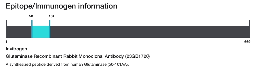 Glutaminase Recombinant Rabbit Monoclonal Antibody (23GB1720)