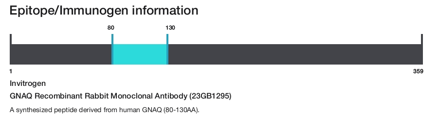 GNAQ Recombinant Rabbit Monoclonal Antibody (23GB1295)