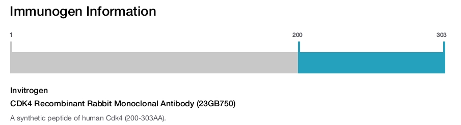 CDK4 Recombinant Rabbit Monoclonal Antibody (23GB750)