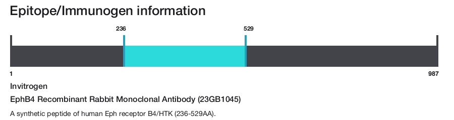 EphB4 Recombinant Rabbit Monoclonal Antibody (23GB1045)