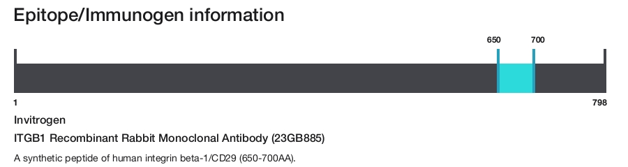 ITGB1 Recombinant Rabbit Monoclonal Antibody (23GB885)