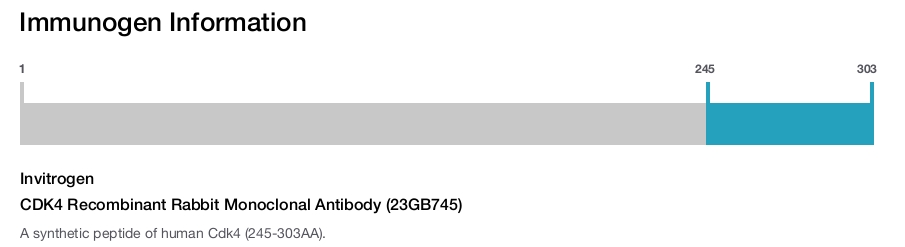CDK4 Recombinant Rabbit Monoclonal Antibody (23GB745)