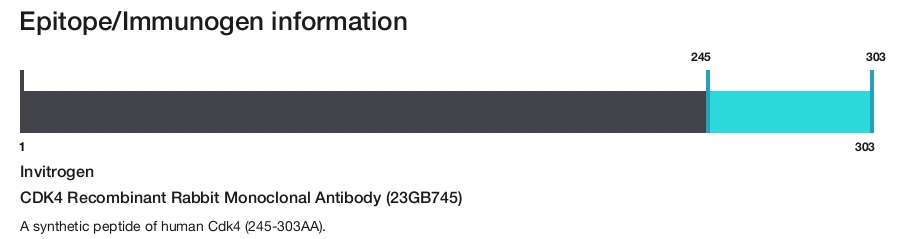 CDK4 Recombinant Rabbit Monoclonal Antibody (23GB745)
